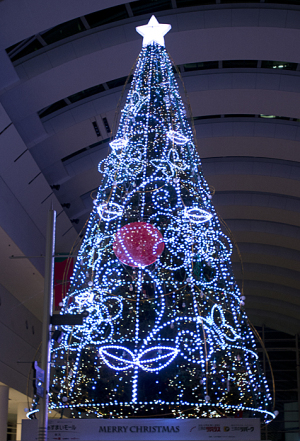 クイーンズスクエア「ゆず」のクリスマスツリー