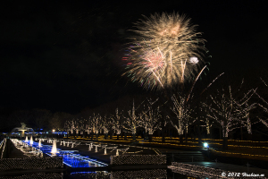 国営昭和記念公園　Winter Vista Illumination ２０１２　冬の花火