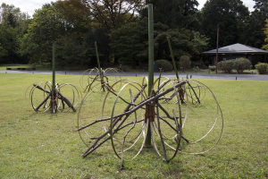 国営昭和記念公園「よみがえる樹々のいのち」展