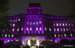 神奈川県庁本庁舎　ピンクリボンイルミネーション２０１３
