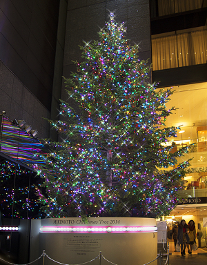 銀座ミキモト　クリスマスツリー　２０１４