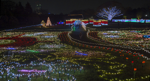 国営昭和記念公園｢Winter Vista Illumination 2015｣あったかゾーン
