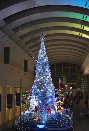 クイーンズスクエア横浜のクリスマスツリー