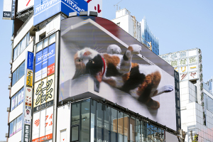 新宿駅の３D巨大猫
