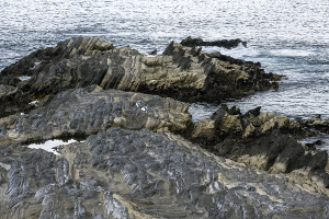 三浦半島・荒崎の海岸