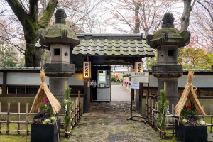 上野東照宮 ぼたん苑