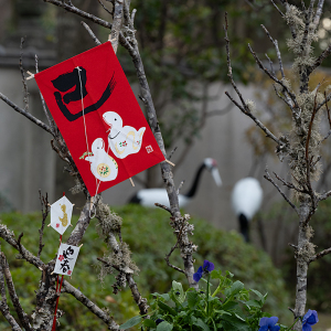 上野東照宮 ぼたん苑