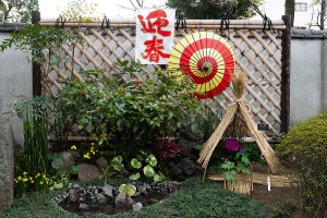 上野東照宮 ぼたん苑