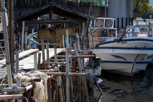 子安浜（子安漁港）