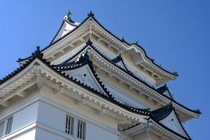 小田原城の桜