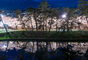 弘前公園 夜景