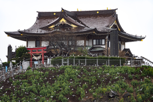 八戸市・蕪島神社