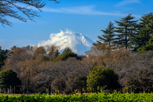 立川から見た富士山