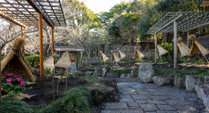 鶴岡八幡宮・神苑ぼたん庭園