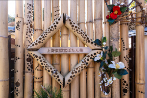 上野東照宮ぼたん苑