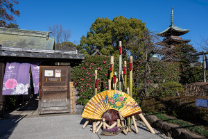 上野東照宮ぼたん苑